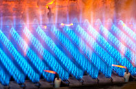 Dalton Magna gas fired boilers